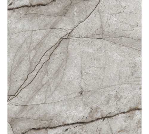 Obsidian Moss Gray Керамогранит 60х60 матовый