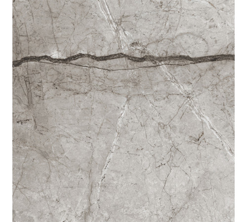 Obsidian Moss Gray Керамогранит 60х60 матовый