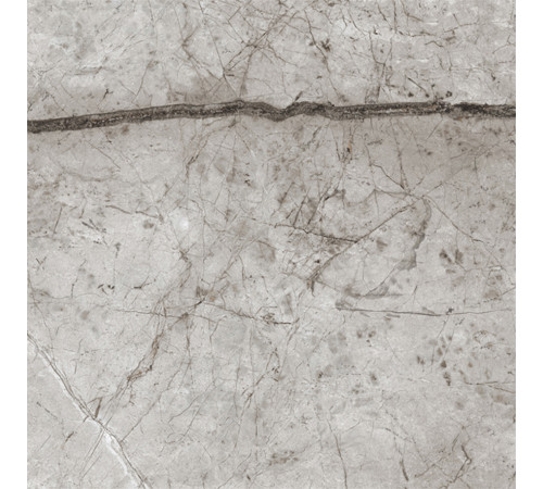 Obsidian Moss Gray Керамогранит 60х60 матовый