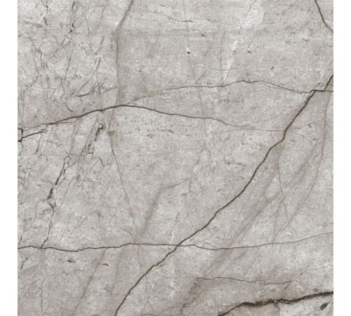 Obsidian Moss Gray Керамогранит 60х60 матовый