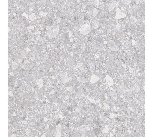 Matrix Керамогранит светло-серый K952738R0001LPET 59,7х59,7