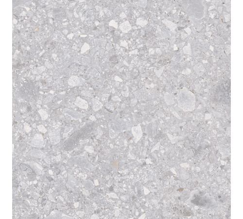 Matrix Керамогранит светло-серый K952738R0001LPET 59,7х59,7