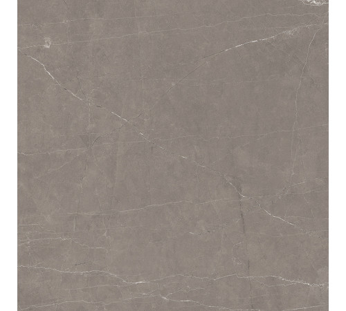 Stone Micado Grey Керамогранит серый 60х60 Полированный