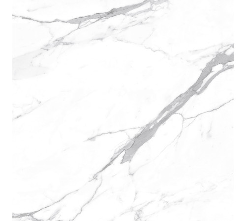 Carrara Terrific Silver Керамогранит белый 60х60 Матовый