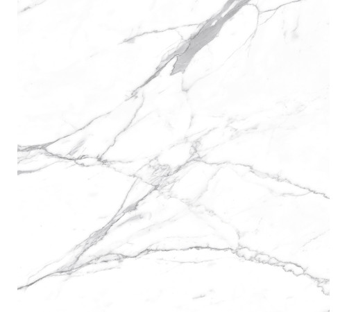 Carrara Terrific Silver Керамогранит белый 60х60 Матовый