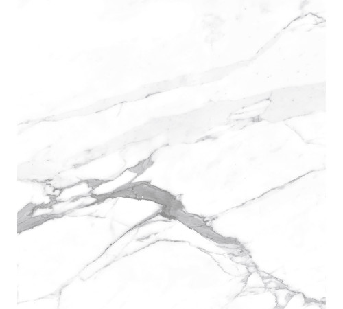 Carrara Terrific Silver Керамогранит белый 60х60 Матовый