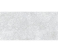 Ocean Fairy Керамогранит светло-серый 60х120 Полированный