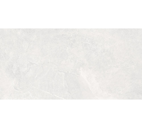 Overland Moon PRO Керамогранит светло-серый 60х120 матовый+гл.чернила R10 STR