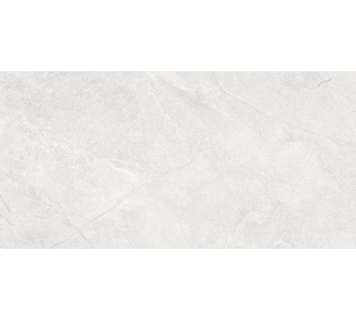 Overland Moon PRO Керамогранит светло-серый 60х120 матовый+гл.чернила R10 STR