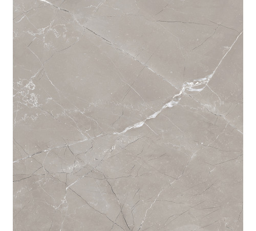 Vitrum Grigio Керамогранит серый 60x60 матовый