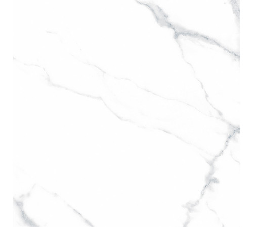 Statuario Justice Grey Керамогранит белый 60х60 Матовый
