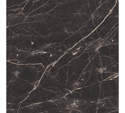 Black Arkadia Керамогранит черный полированный 60х60