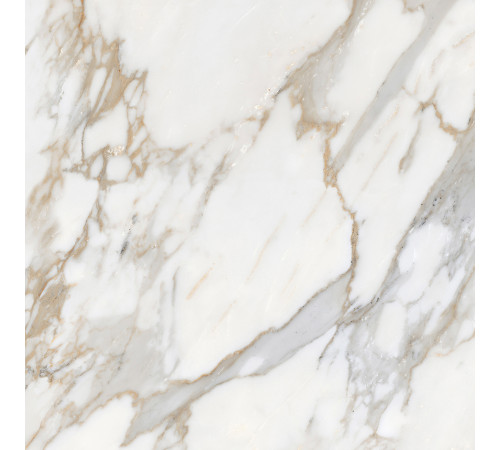 Calacatta Roma Керамогранит 60х60 Матовый