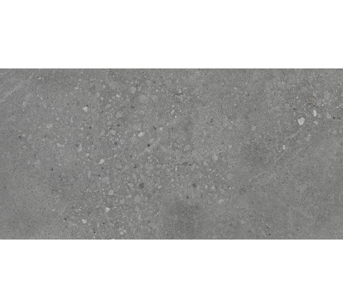 Nelson Керамогранит тёмно-серый K948160LPR01LPER 59,7х119,7 лаппатированный
