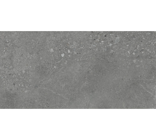 Nelson Керамогранит тёмно-серый K948160LPR01LPER 59,7х119,7 лаппатированный