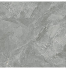 Regnum Grigio Керамогранит серый CR6060G0401R 59,5х59,5 матовый