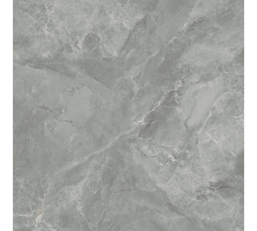 Regnum Grigio Керамогранит серый CR6060G0401R 59,5х59,5 матовый