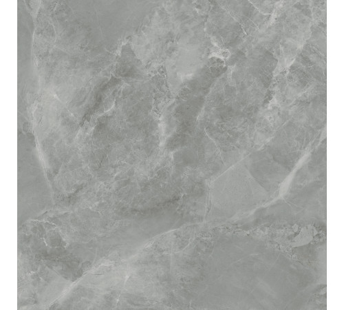 Regnum Grigio Керамогранит серый CR6060G0401R 59,5х59,5 матовый