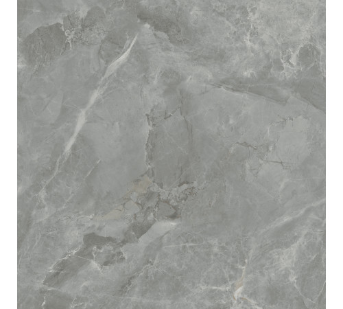 Regnum Grigio Керамогранит серый CR6060G0401R 59,5х59,5 матовый