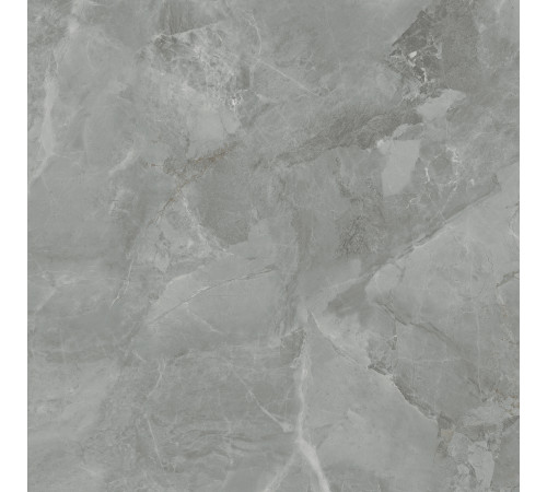 Regnum Grigio Керамогранит серый CR6060G0401R 59,5х59,5 матовый