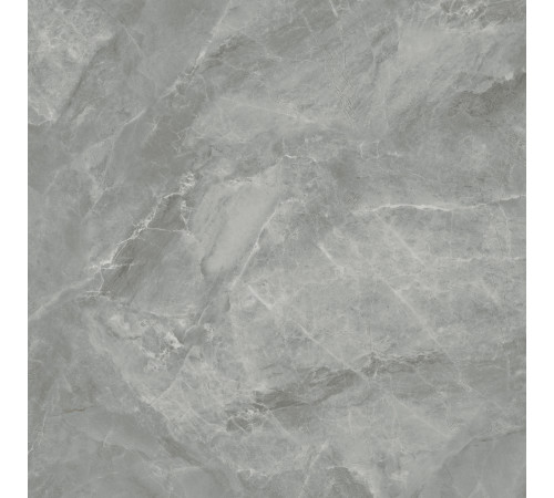 Regnum Grigio Керамогранит серый CR6060G0401R 59,5х59,5 матовый