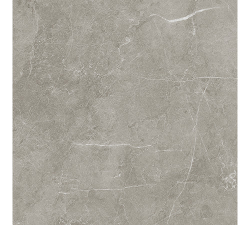 Scandy Керамогранит серый обрезной SG645220R 59,5х59,5