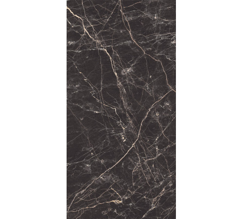 Black Arkadia Керамогранит черный полированный 60х120