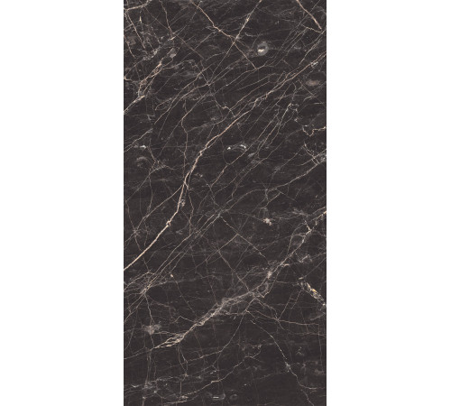 Black Arkadia Керамогранит черный полированный 60х120