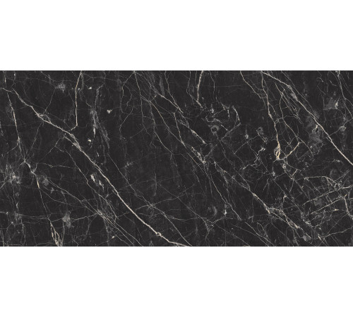 Black Arkadia Керамогранит черный полированный 60х120