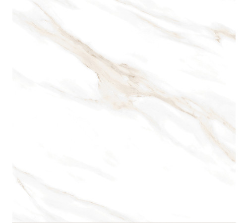 Calacatta Clarity Gold Керамогранит белый 60х60 Полированный