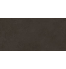 Evolution marron Плитка настенная 48036R 40x80 матовый обрезной