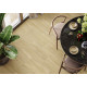 Керамогранит Delacora D30015M Walnut Light 30x60 бежевый матовый под дерево
