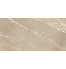 Керамогранит New Trend 60120ESE21P Эссеншл каштановый / Essential Marron 60х120