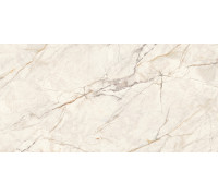 Керамогранит LCM 60120WOF01P Вандефул / Wonderfull 60х120