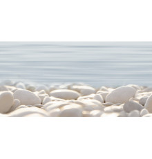 Декор Alma Ceramica DWU09DLM604 Дель Мар / Del Mare 25х50