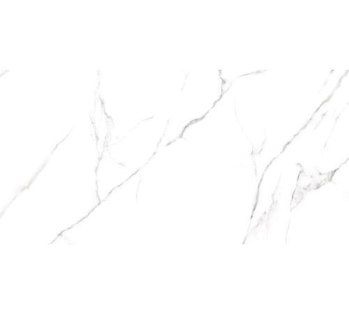 Керамогранит Alma Ceramica GFU60120CRR00R Carrara 60x120 белый глазурованный матовый под камень