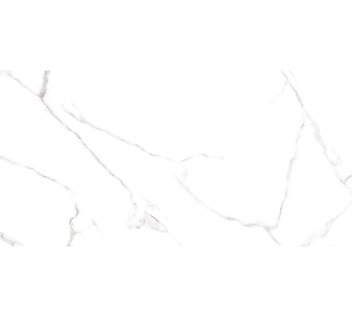 Керамогранит Alma Ceramica GFU60120CRR00R Carrara 60x120 белый глазурованный матовый под камень