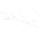 Керамогранит Alma Ceramica GFU60120CRR00R Carrara 60x120 белый глазурованный матовый под камень