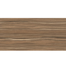 Плитка настенная Alma Ceramica TWU09PLS424 Плессо / Plesso 25х50