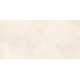 Плитка настенная Richard TWU09RCD004 249x500x7.5 Глянцевая