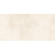 Плитка настенная Richard TWU09RCD004 249x500x7.5 Глянцевая