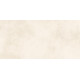 Плитка настенная Richard TWU09RCD004 249x500x7.5 Глянцевая