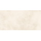 Плитка настенная Richard TWU09RCD004 249x500x7.5 Глянцевая