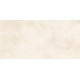 Плитка настенная Richard TWU09RCD004 249x500x7.5 Глянцевая