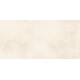 Плитка настенная Richard TWU09RCD004 249x500x7.5 Глянцевая