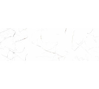 Плитка настенная Delacora WT15FRR00R Фрост белый / Frost White 25х74