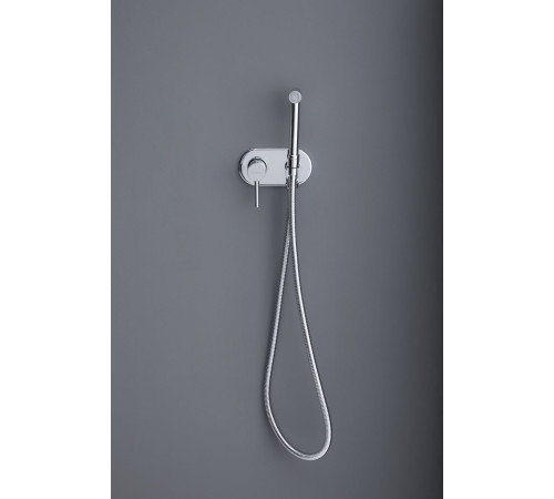 Смеситель с гигиеническим душем Allen Brau Priority 5.31005-00 (с внутренней частью) хром