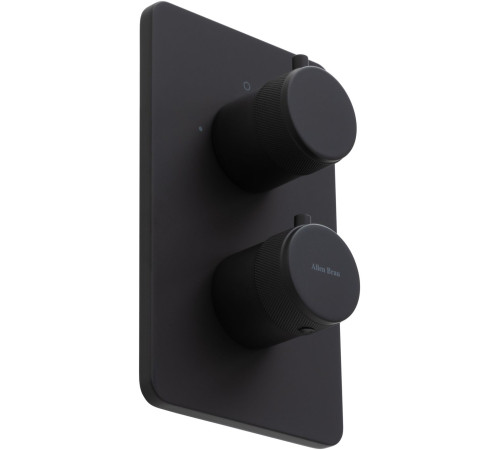 Смеситель для ванны Allen Brau Priority 5.31213-31 (с внутренней частью, 2 выхода) черный матовый