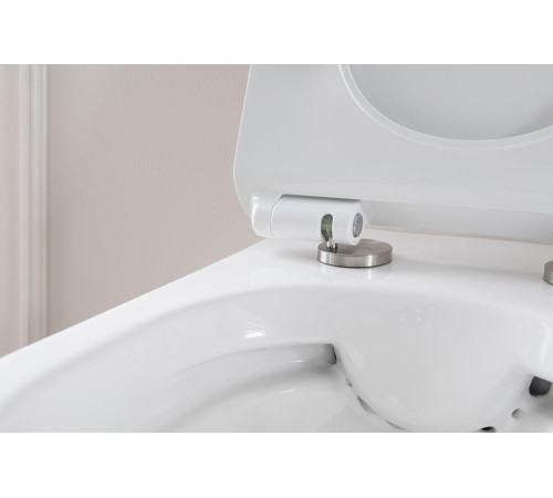 Унитаз подвесной Aquanet Rimless Roll-W CL-12249D