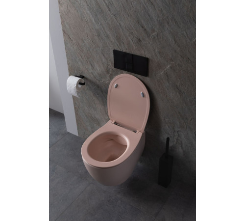 Чаша подвесного унитаза Allen Brau Fantasy 4.11004.SM розовый